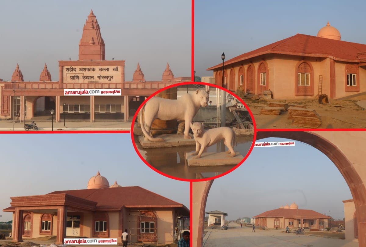 river horse will be coming soon in Gorakhpur Zoo from Kanpur zoological park