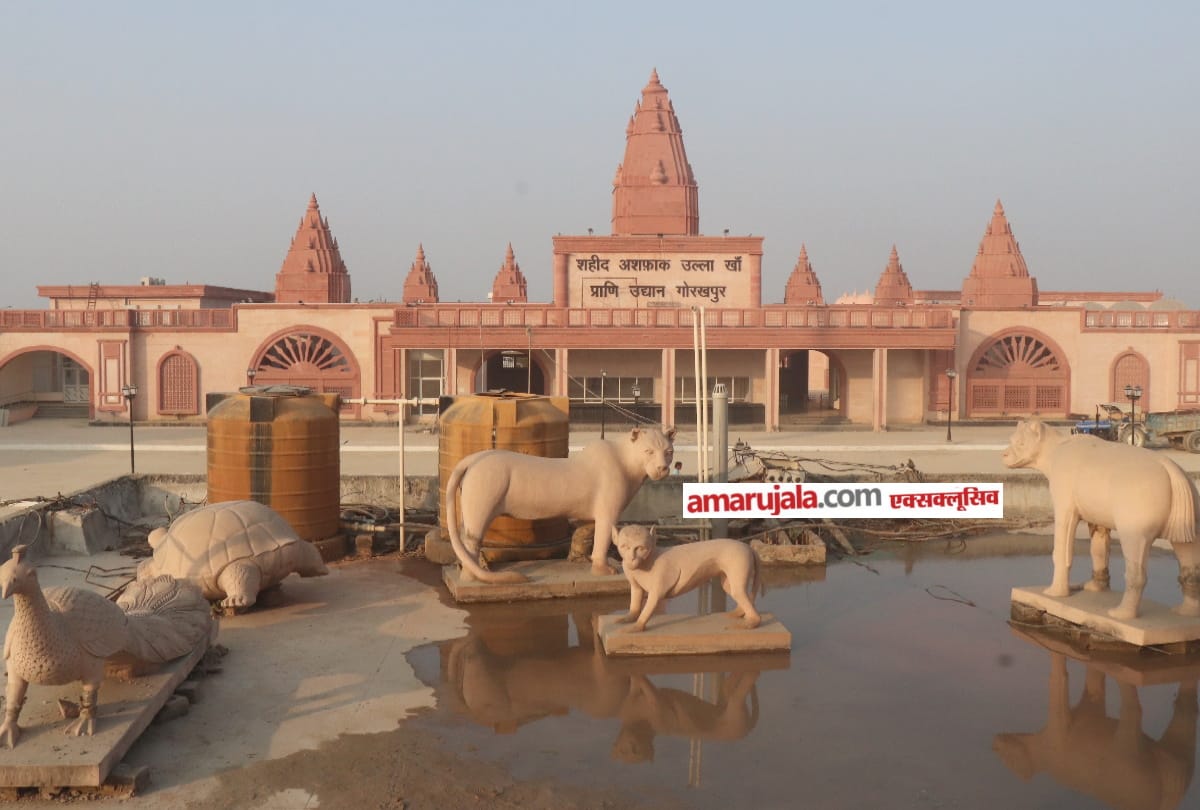 Gorakhpur UP Zoological Park Zoo News: UP First special Zoo in gorakhpur Zoological Park see latest photos