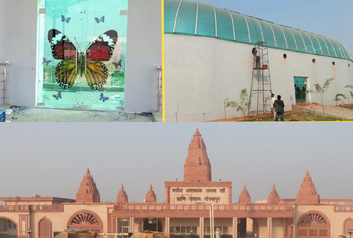 Gorakhpur UP Zoological Park Zoo News: UP First special Zoo in gorakhpur Zoological Park see latest photos