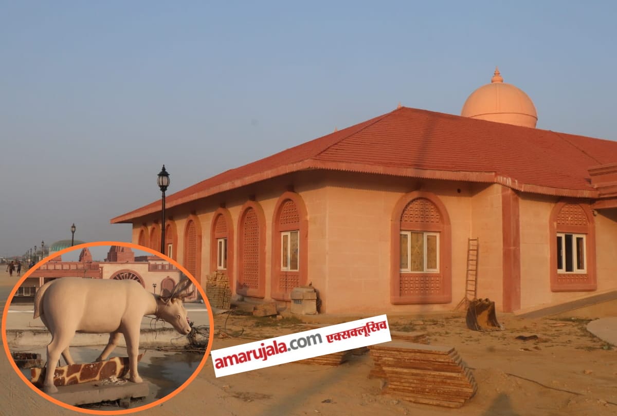 Gorakhpur Zoo Selfie point see latest photos of beautiful zoo in UP