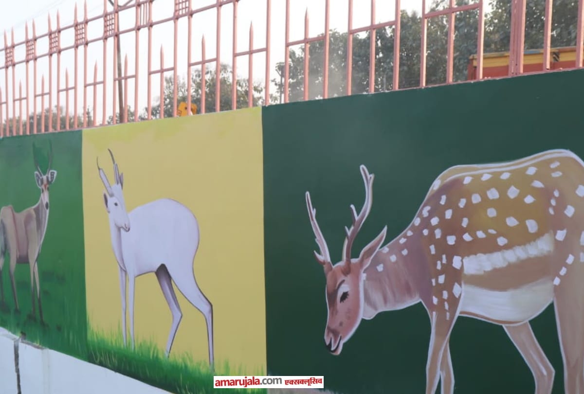 Seven black deer welcome in UP most beautiful Gorakhpuur Zoo
