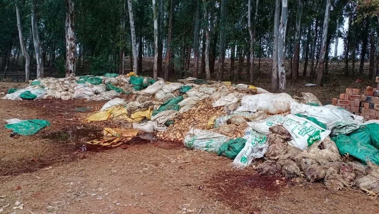 Thousands of chickens found dead near Bahadurgarh
