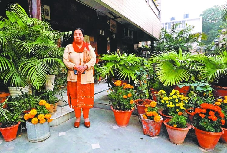 chandigarh woman do landscaping and gardening as hobby