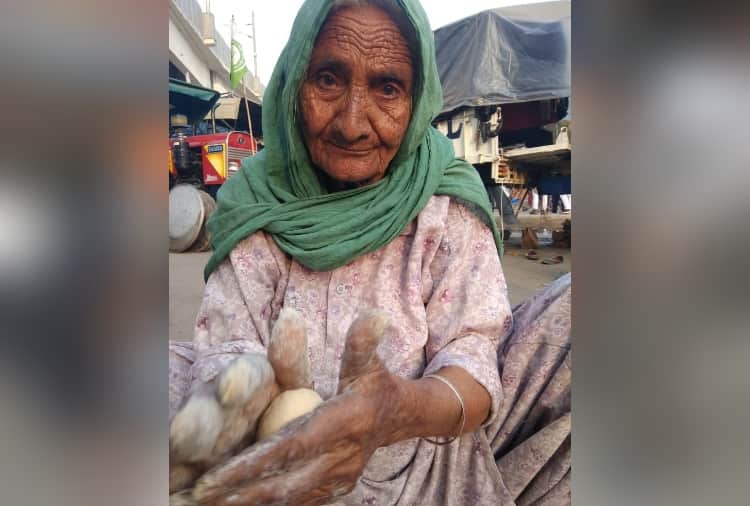Elderly farmers firmly involved in farmers protest 