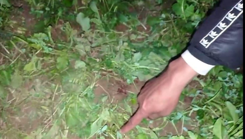 Dead body of woman found in fodder, fear of murder