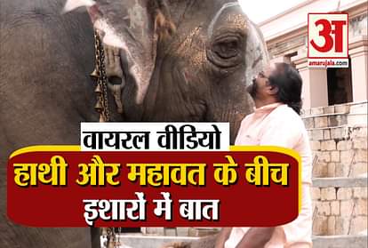 MAHOUT, ELEPHANT TALK IN GESTURES, VIDEO GOES VIRAL