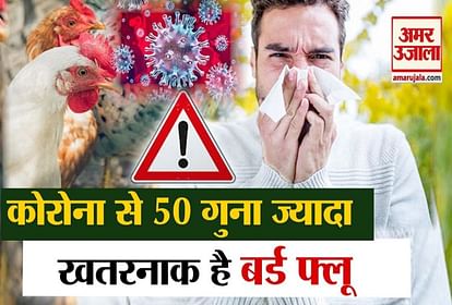 Bird flu is 50 percent more dangerous than coronavirus