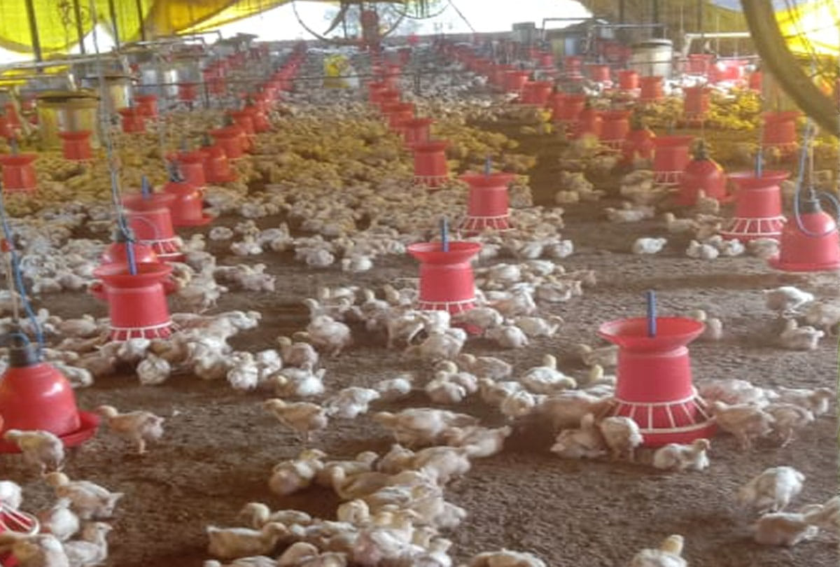 gorakhpur women reshma started poultry farm to feed family