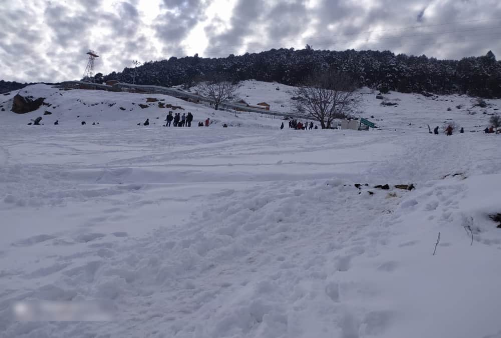 Uttarakhand Weather News Today: Tourists Enjoy Snow Covered Auli Awesome Visuals