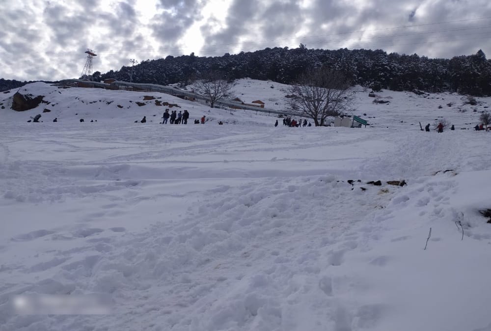 Uttarakhand Weather News Today: Tourists Enjoy Snow Covered Auli Awesome Visuals