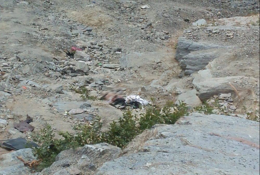 Uttarakhand Latest News: Car Fell into River on Badrinath Highway, Two Youths Died on Spot