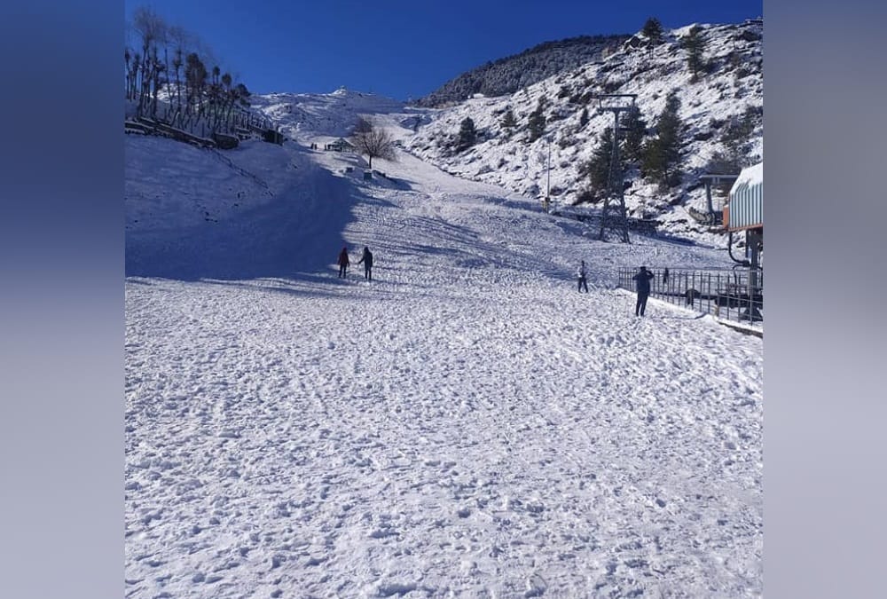 Uttarakhand news: Winter Games will be held in Auli in February, skiing training school will open