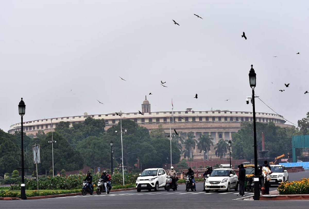 Bird Flu alert 91 crows and 27 ducks found dead across 15 parks in Delhi so far