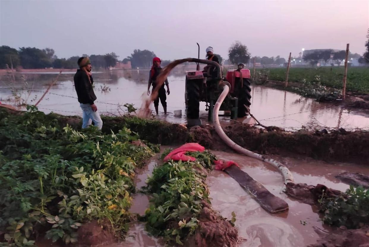 water entered into field, crop sink