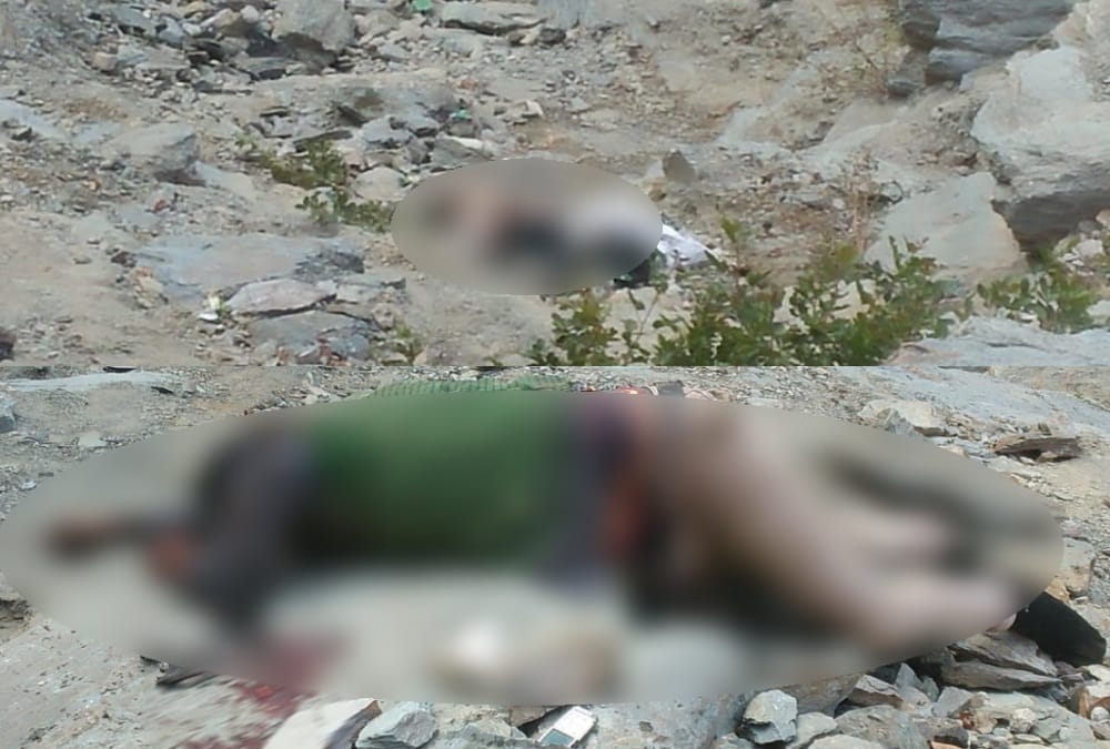 Rishikesh Badrinath Highway: Car Fell into ganga River, Two Brothers Died Photos