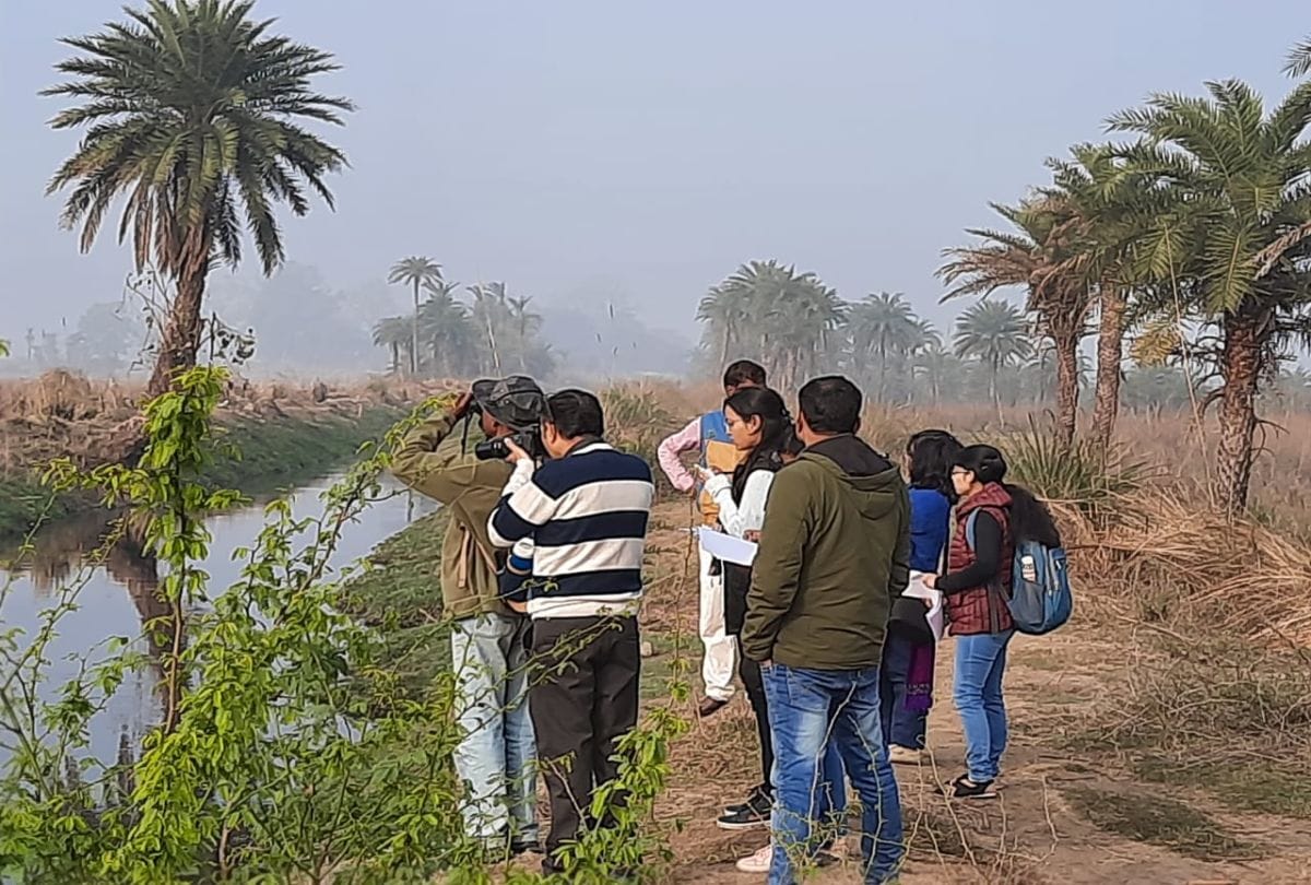 Aquatic birds counted in Jodhpur Jhal Mathura