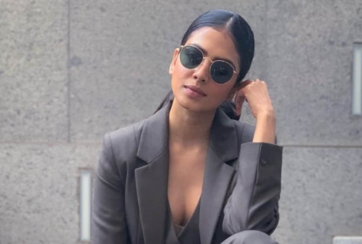 Vijay Sethupati malavika mohanan starrer master to release on amazon prime video in January