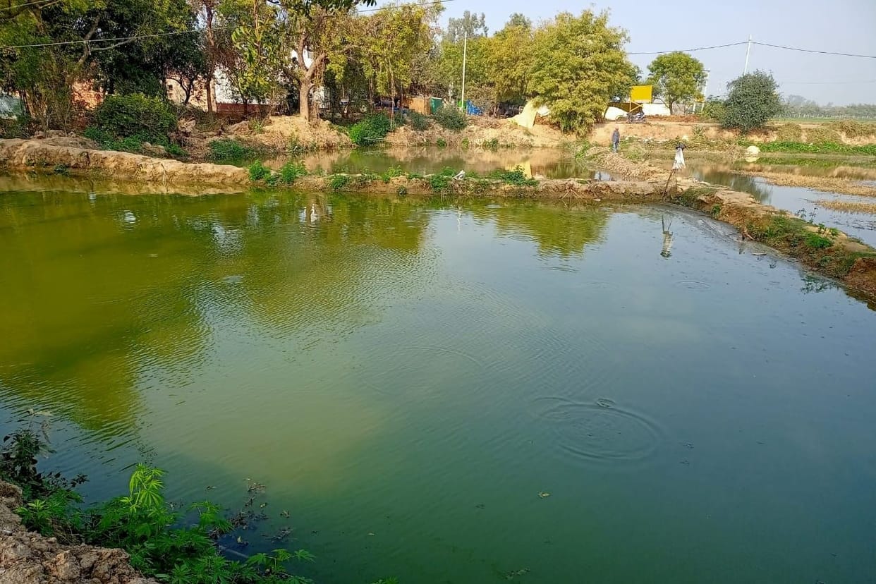 machhalee paalan sang singhaade kee phasal kar kamaenge dohara laabh