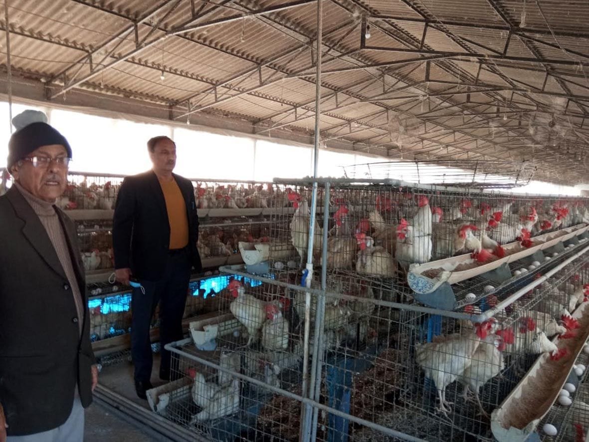 Bird Flu