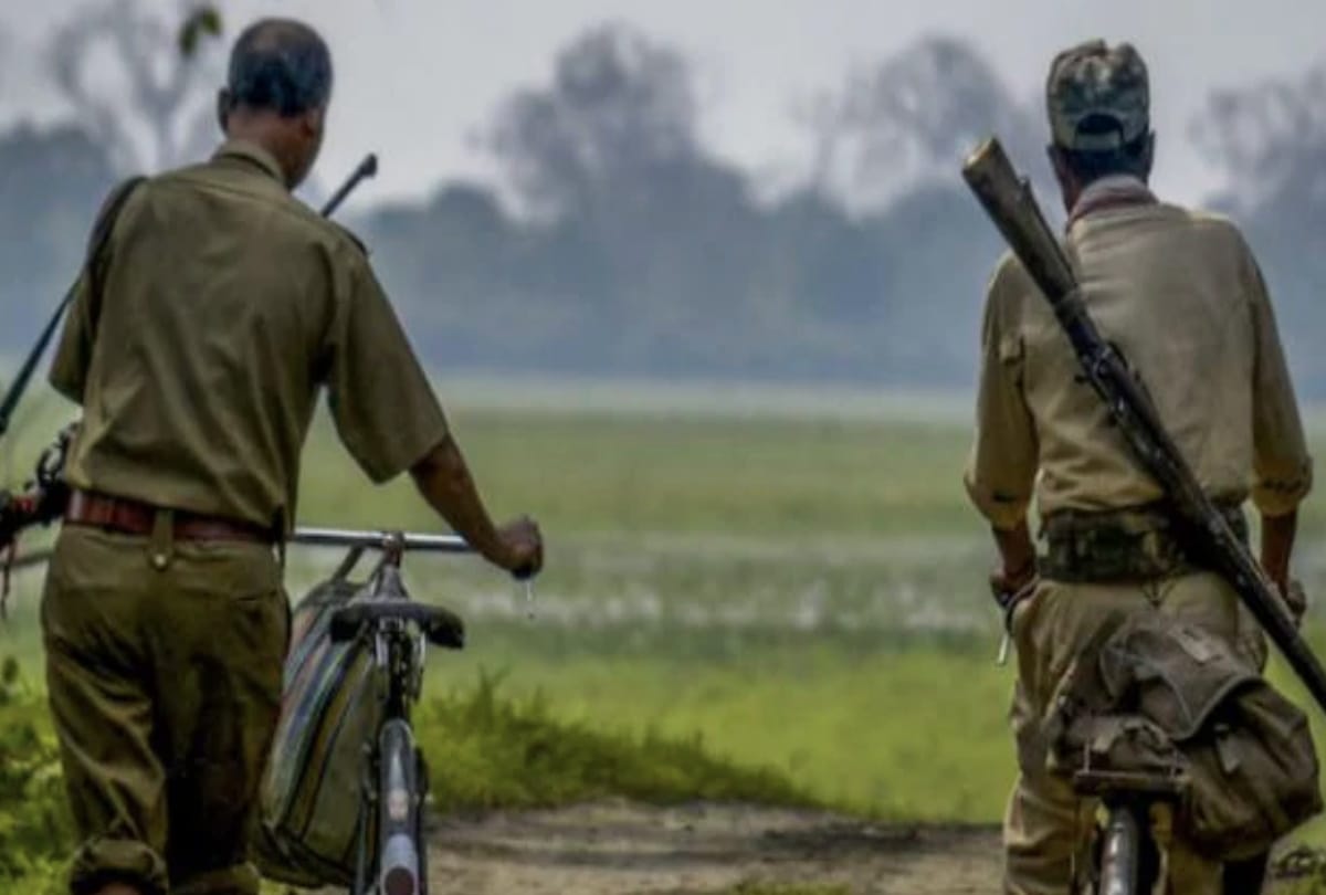 forest department ranger and forest guard hard work in forests due to without training get gun