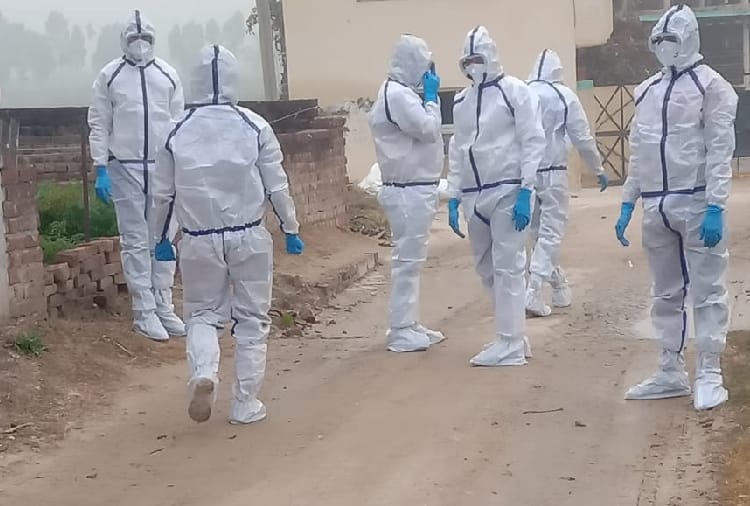 Bird flu: 9395 chickens killed in Haryana