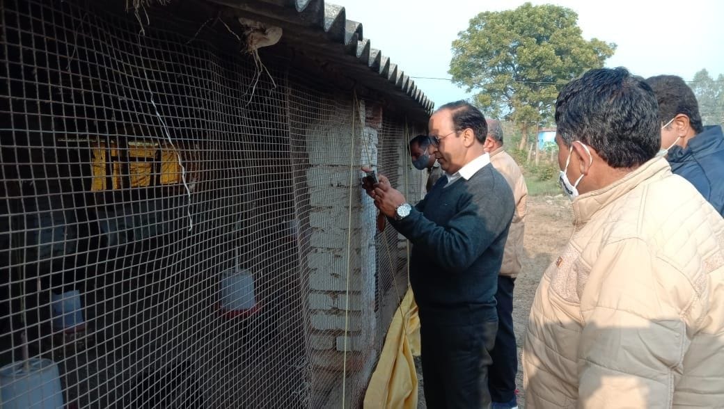 Poltry Farm in Tanakpur