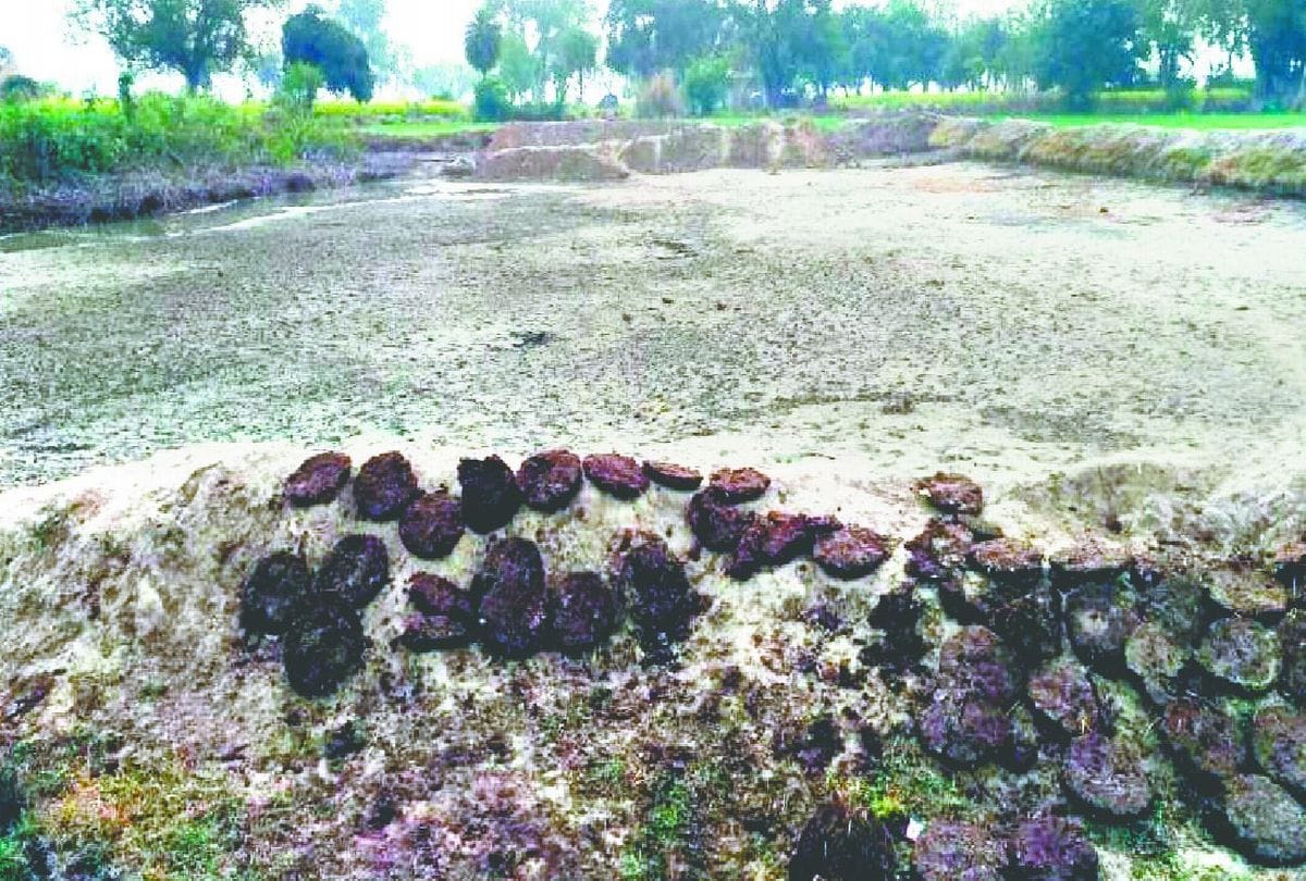 Fisheries Department Awards Eight Farmers Without Water in Pond Eath News In Hindi