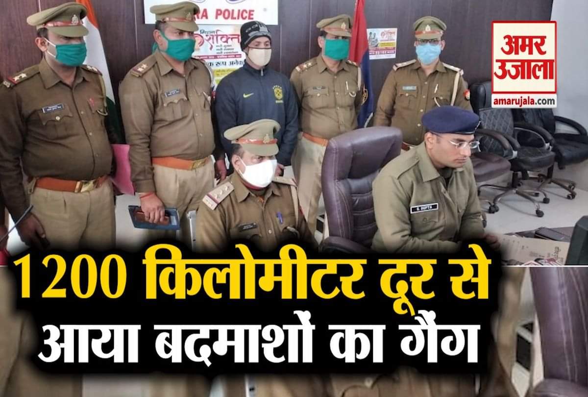 पुलिस ने गिरफ्तार किया टप्पेबाज गैंग का सरगना