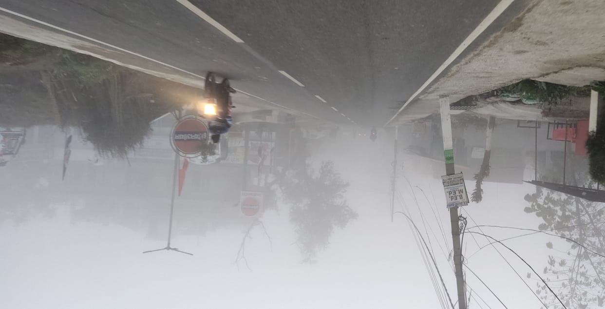 fog distrub life