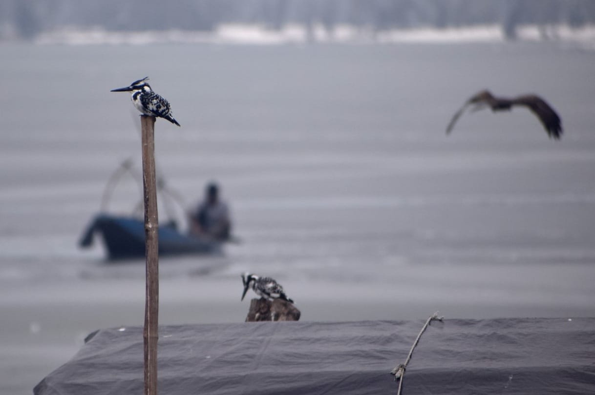 Weather Forecast Today Update Snowfall declared a natural disaster in Jammu and Kashmir
