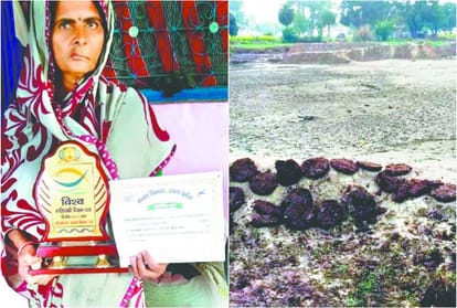 Fisheries Department Awards Eight Farmers Without Water in Pond Eath News In Hindi
