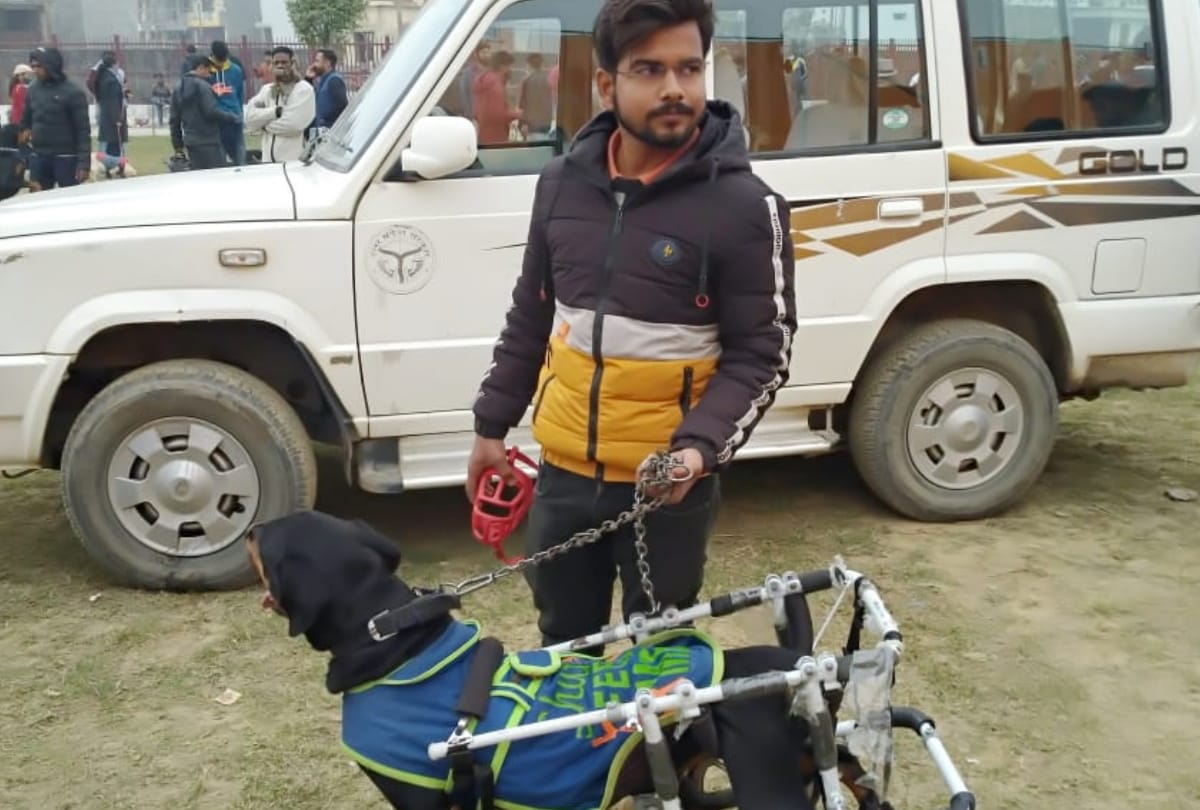 Dog show in gorakhpur Mahotsav 2021 latest photos