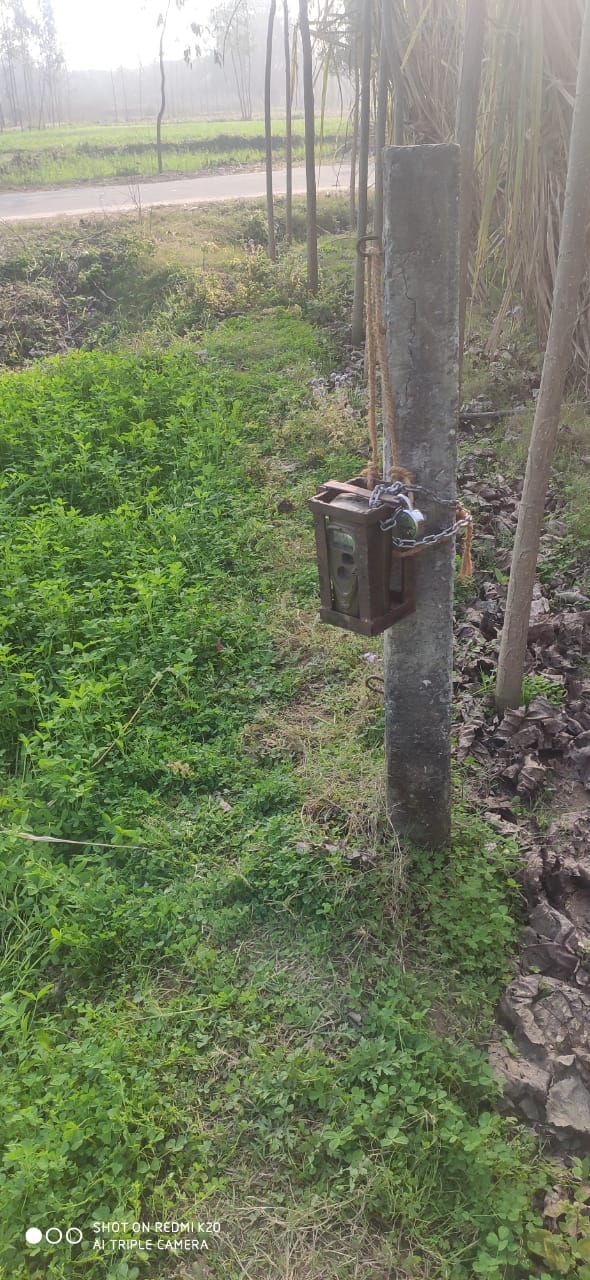 Cameras set to capture the movement of Guldar's cub