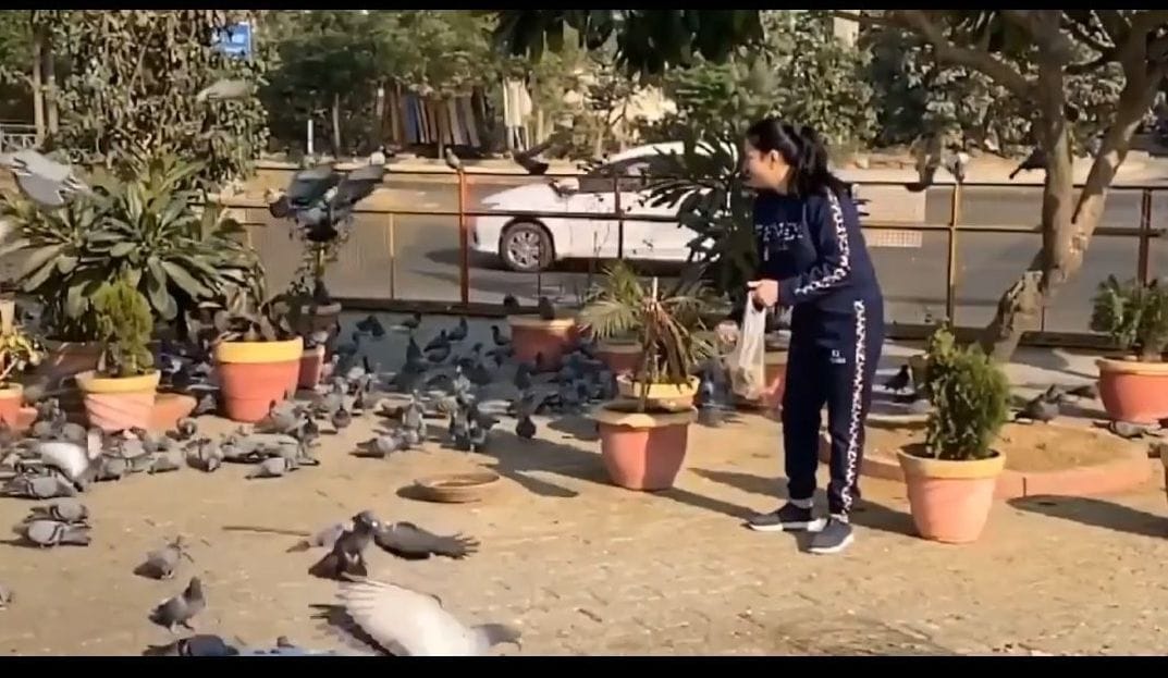 Video of Honeypreet viraling pigeons goes viral