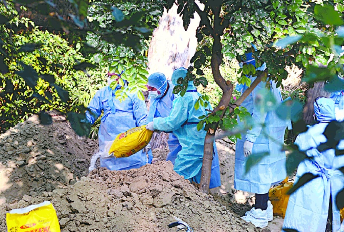 Bird flu spread in Delhi doctor advice Avoid direct contact of birds use these precautions