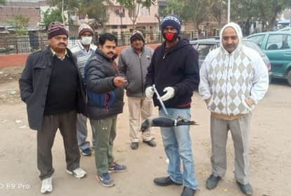 मनीमाजरा में मृत कौवे को उठाती वाइल्ड लाइफ की टीम।