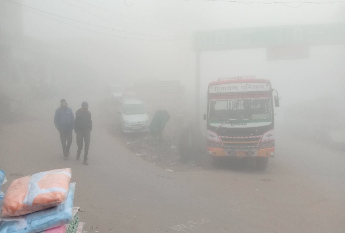 weather today in himachal: thick fog warning in the plains districts for four days , weather will remain clear till 18 january in the state