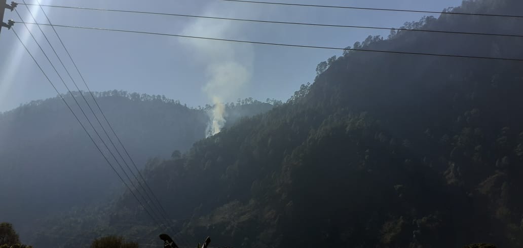 Forest department set fire to control Haldwani beat