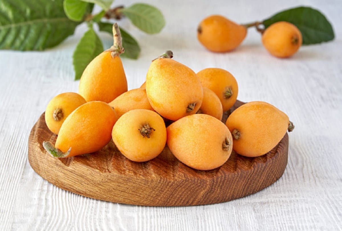 Health benefits of Loquat fruit in hindi