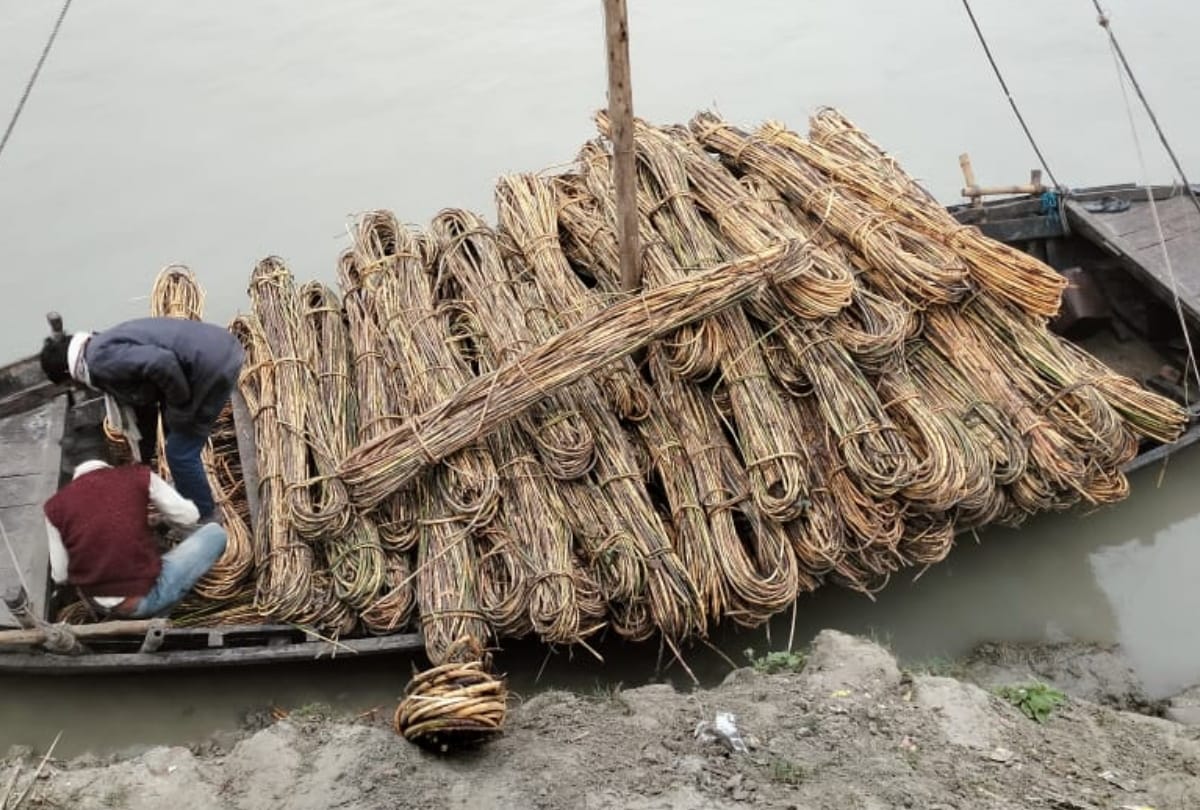 bundleds cane carrying Nepal by boat via river recovered