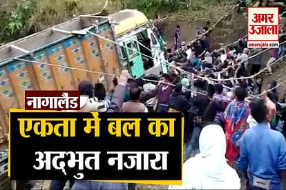 Nagaland: Truck falls in ditch people shows unity to take it out