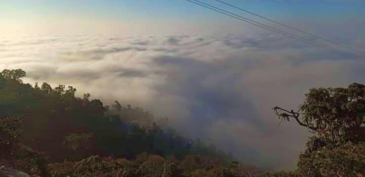 weather