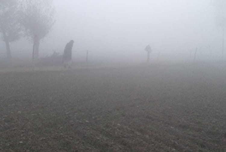 Weather update : Temperature dips in haryana 