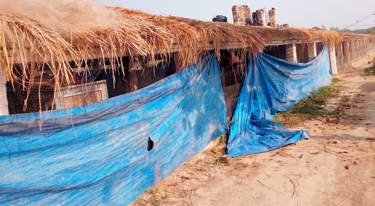 Poultry farm owner endured due to bird flu panic