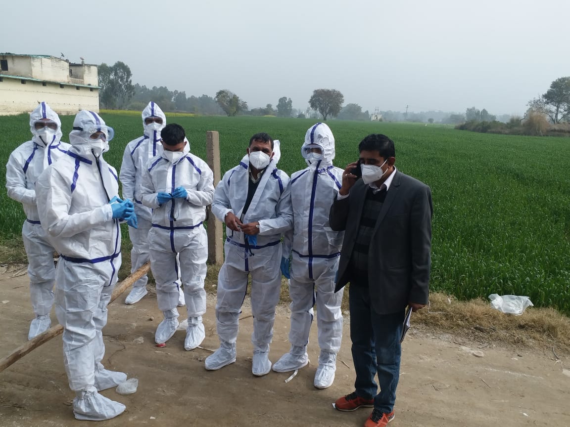 Day four: 8935 chickens killed and 500 eggs destroyed in Raipurrani