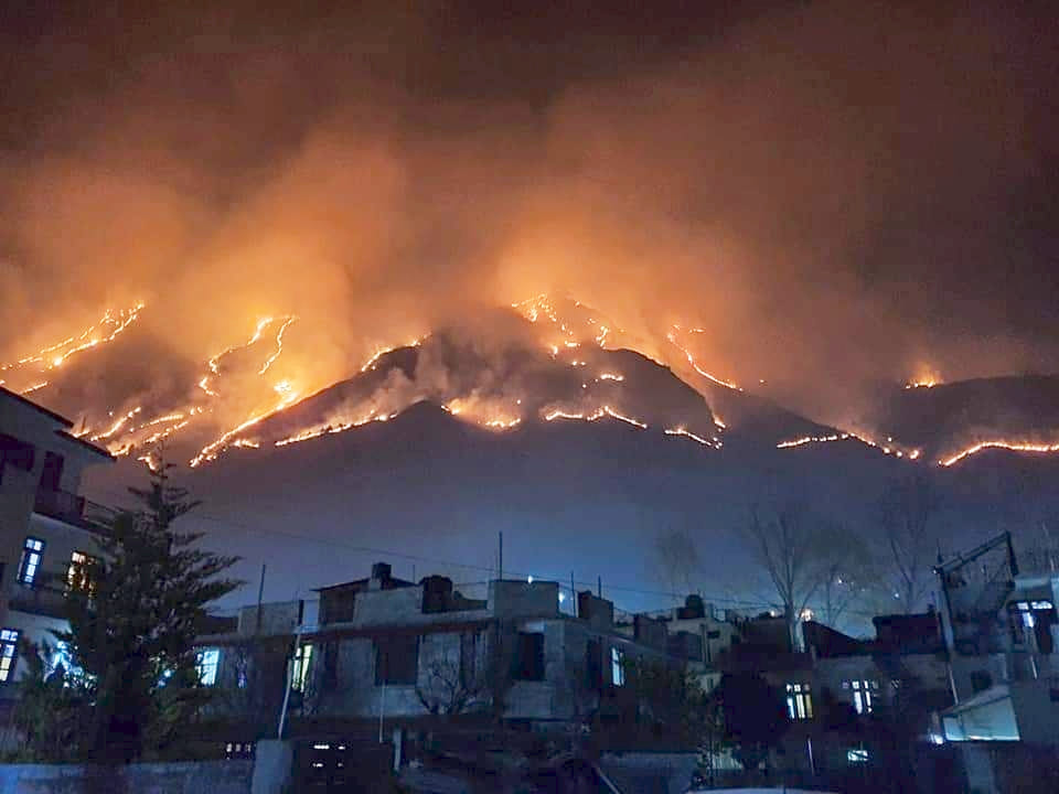 fire in forest