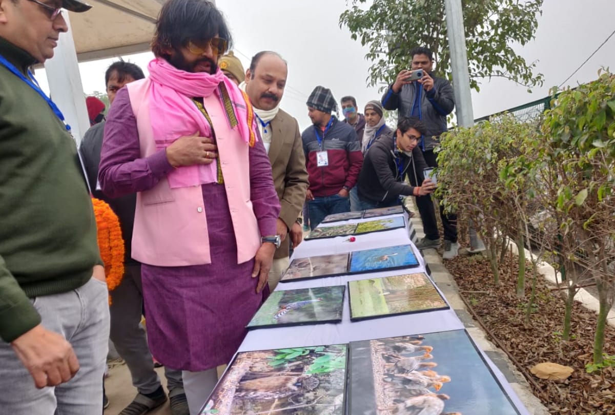 MP Ravi Kishan enjoys bird watch in Gorakhpur mahotsav 2021