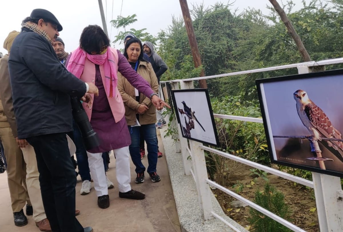 MP Ravi Kishan enjoys bird watch in Gorakhpur mahotsav 2021