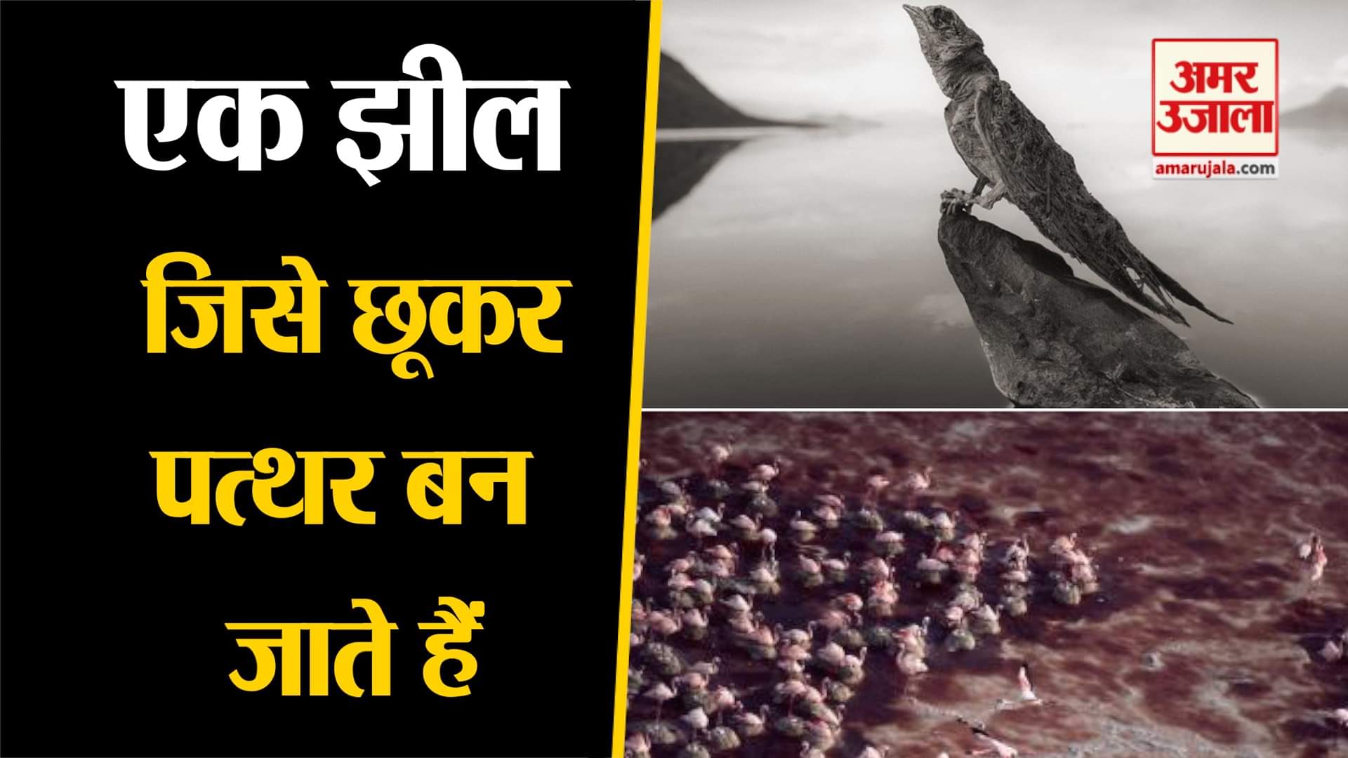 डिजाइन इमेज