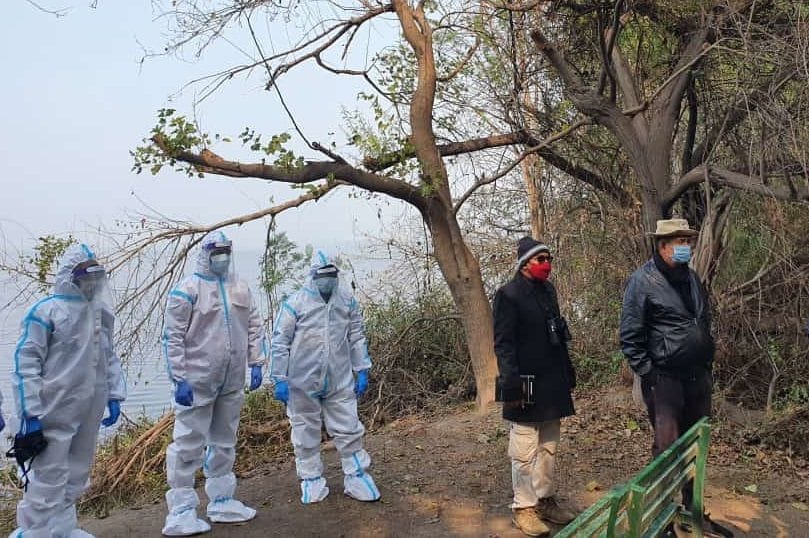 Bird Flu: Sampled within one km of Okhla Bird Sanctuary